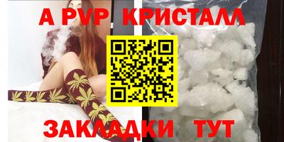 спиды Шахты