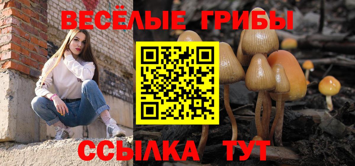 Галлюциногенные грибы MAGIC MUSHROOMS  Вход с VPN  Алексин  Псилоцибиновые грибы Cubensis 