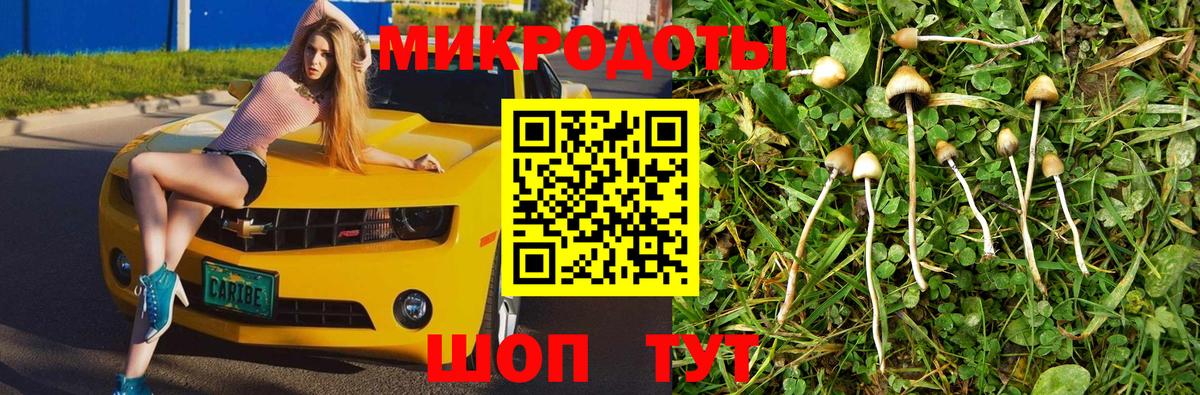 Галлюциногенные грибы ЛСД Алексин